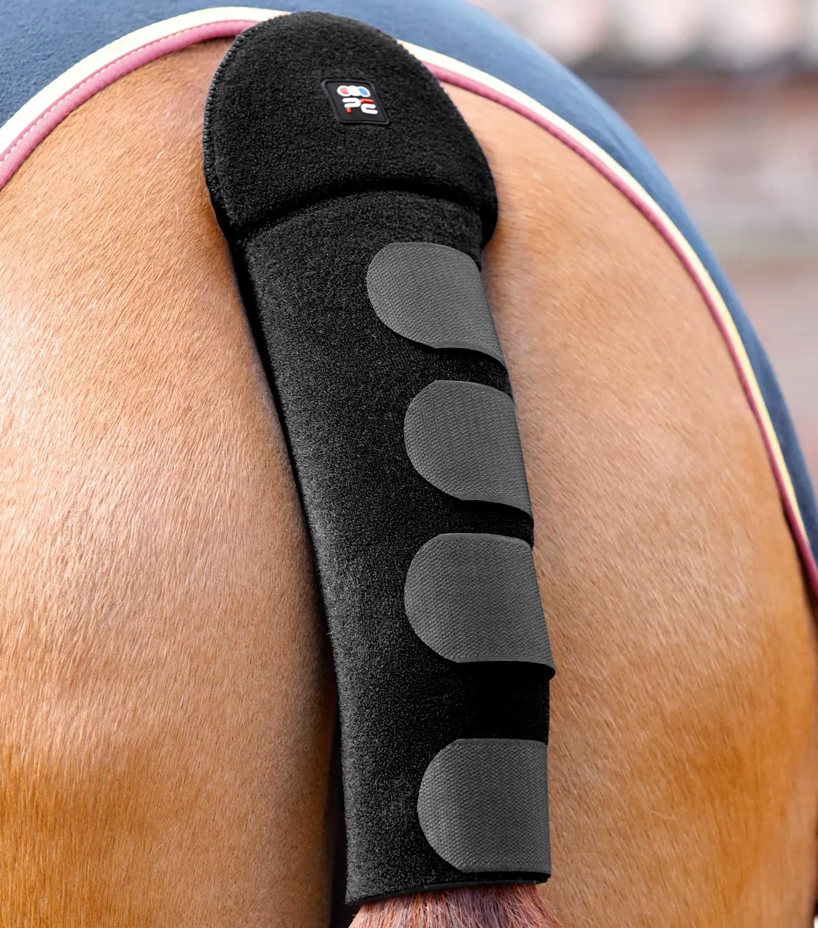 PEI Neoprene Padded Stay-Up Tail Guard