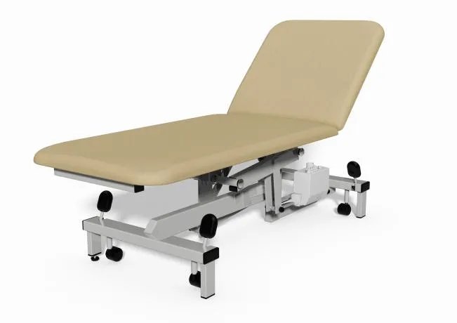 Plinth Medical Model 502 2 Section Electric Couch