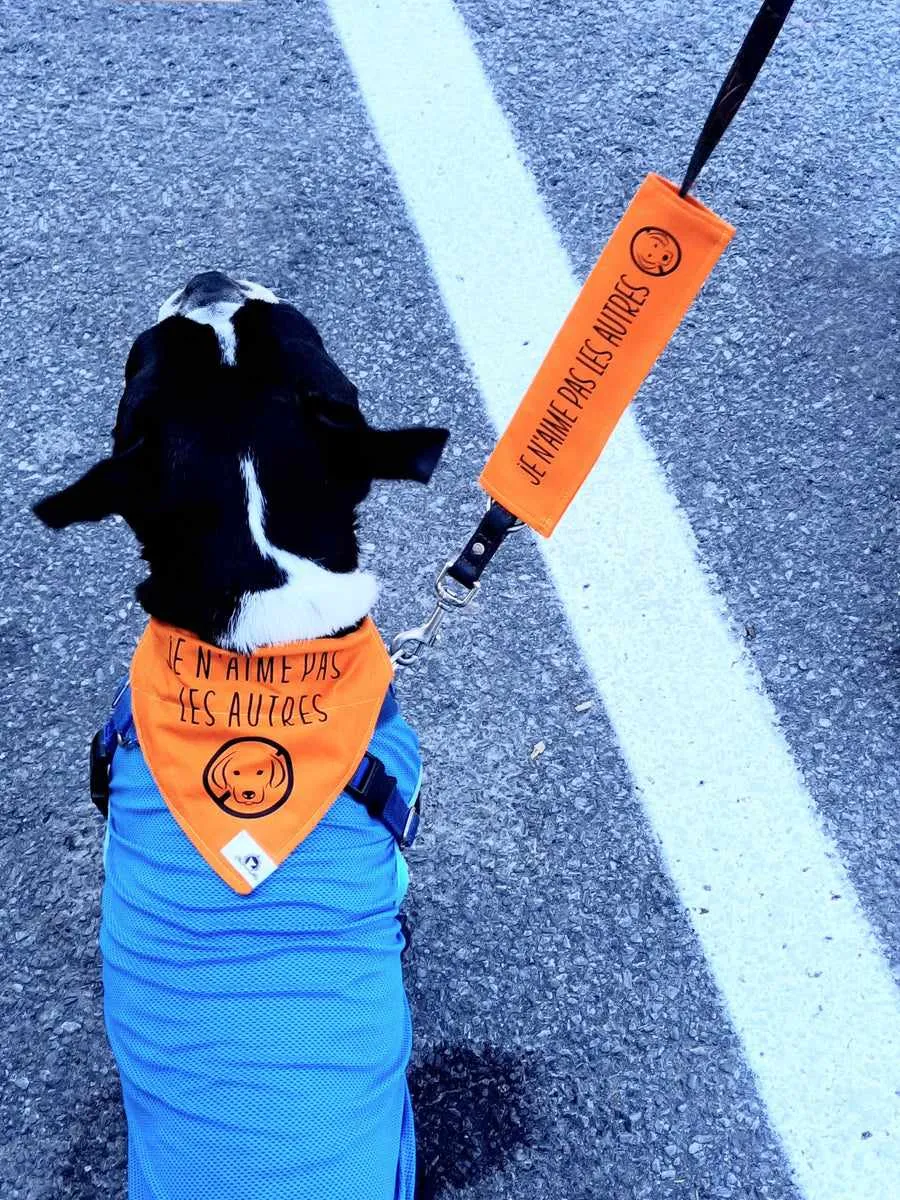 Reactive dog bandana - EMOTIONAL SUPPORT