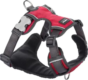 Red Padded Harness