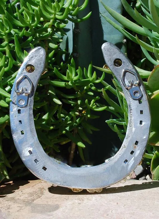 Ribbon Support Horseshoe