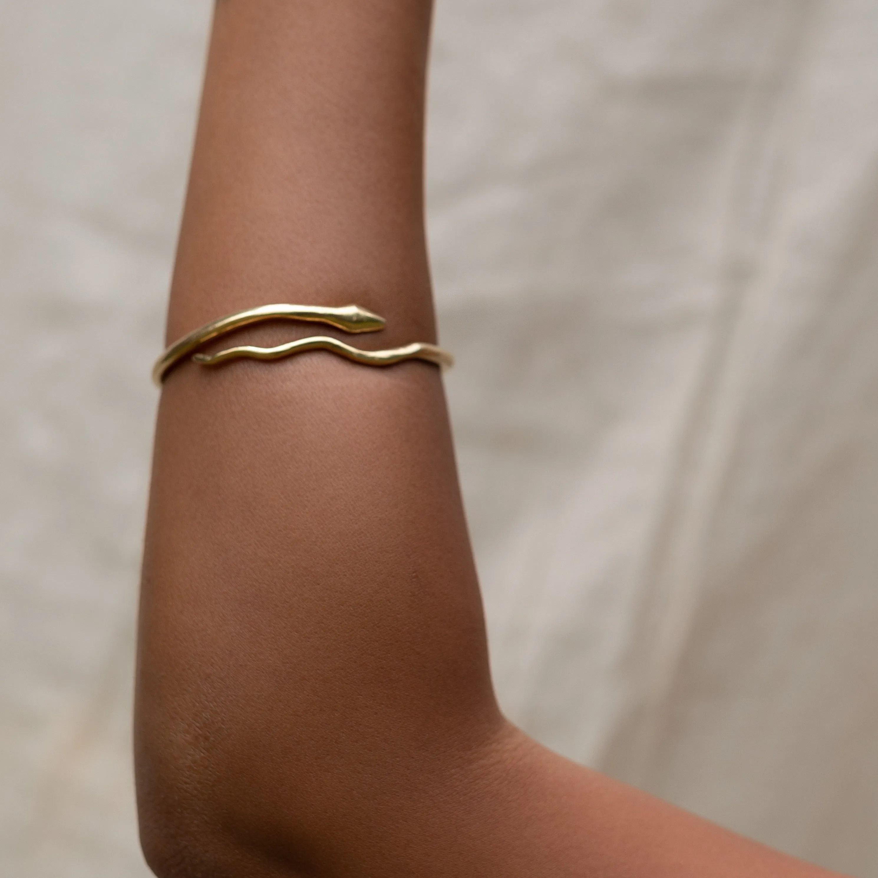 River Snake Bangle | Bronze