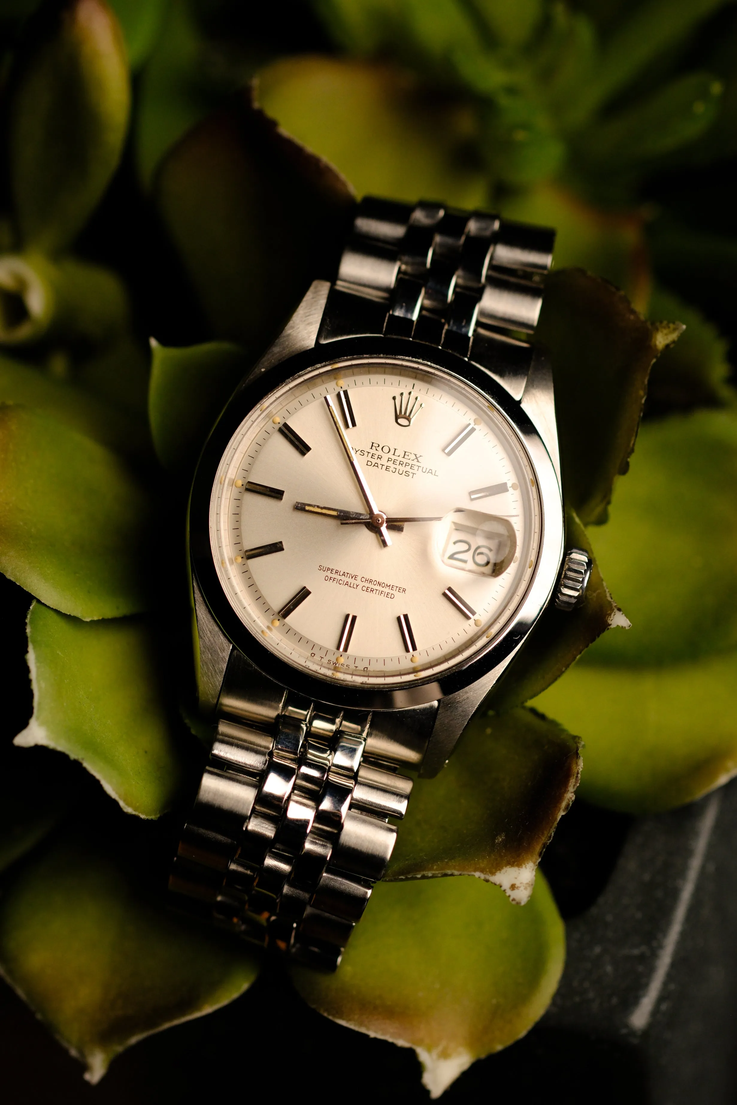Rolex Datejust 1600 Cream Patina Sigma Dial - 1971