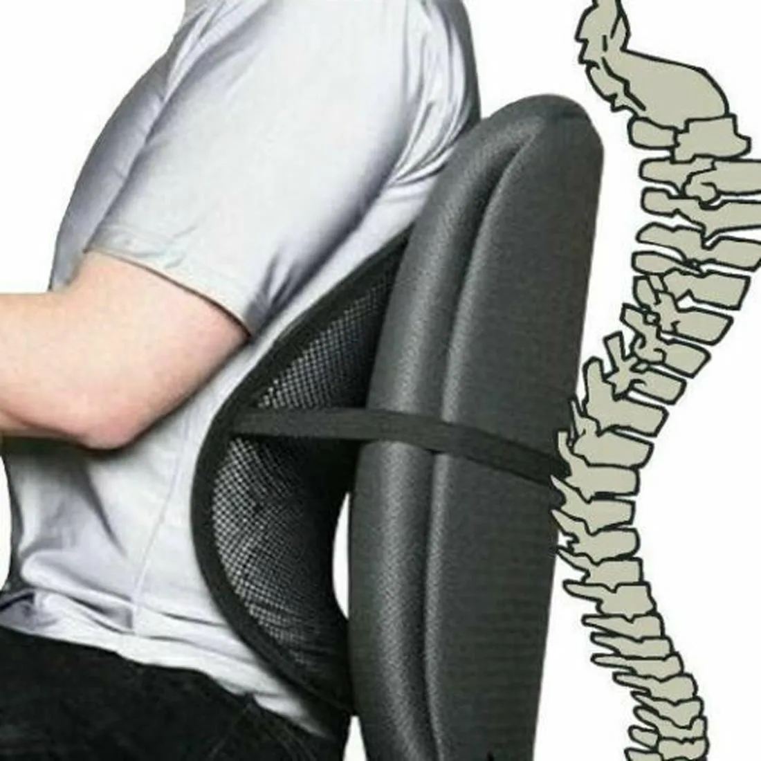 Seat Back Support