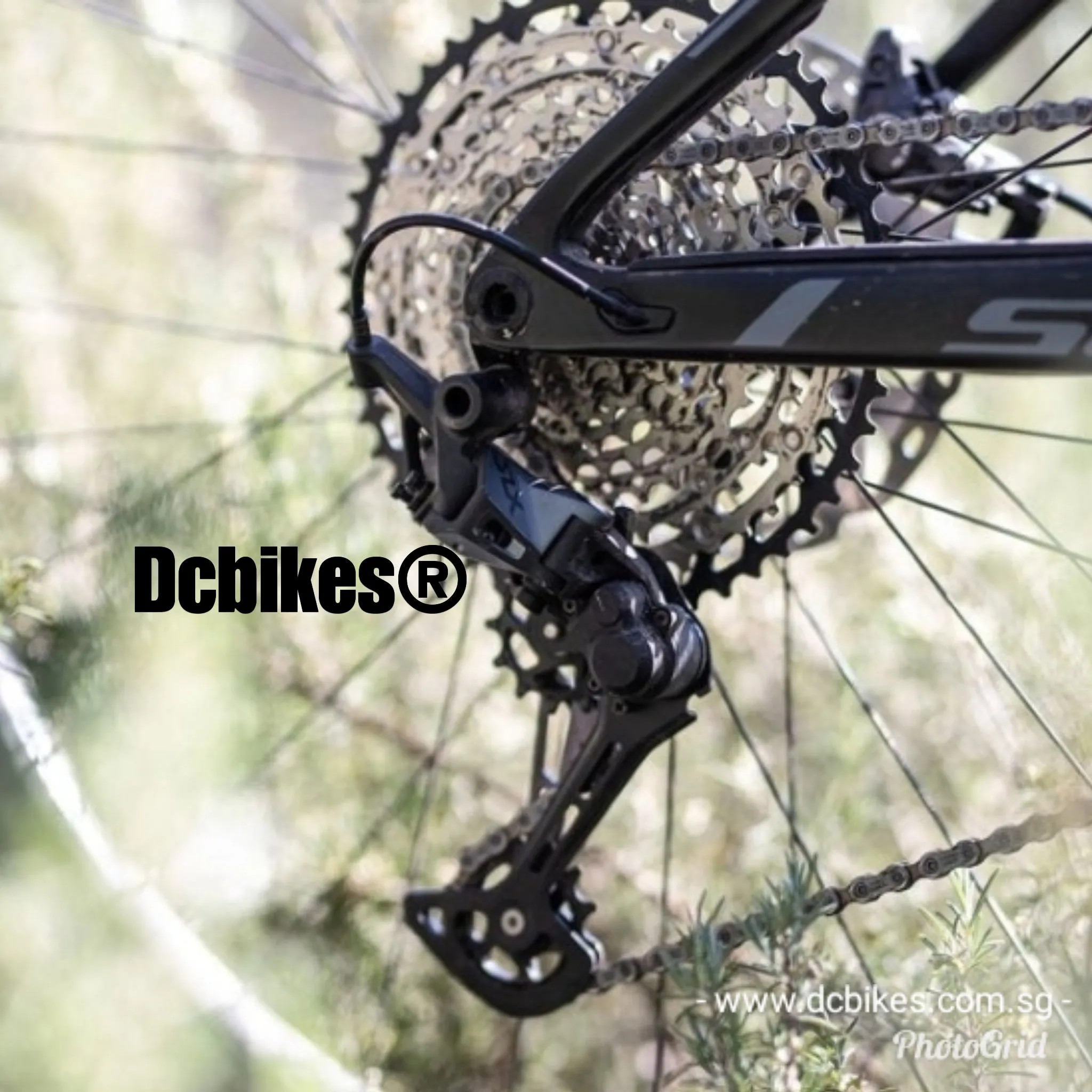 Shimano 12 Speed SLX CS-M7100 Derailleur   Shifter   12s Chain   51T Micro Spline Cassette Groupset