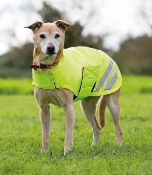 Shires Equiflector® Dog Coat