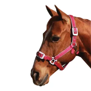 Status Deluxe Padded Headstall Crimson
