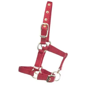 TK292847--Red Halter Miniature Horse