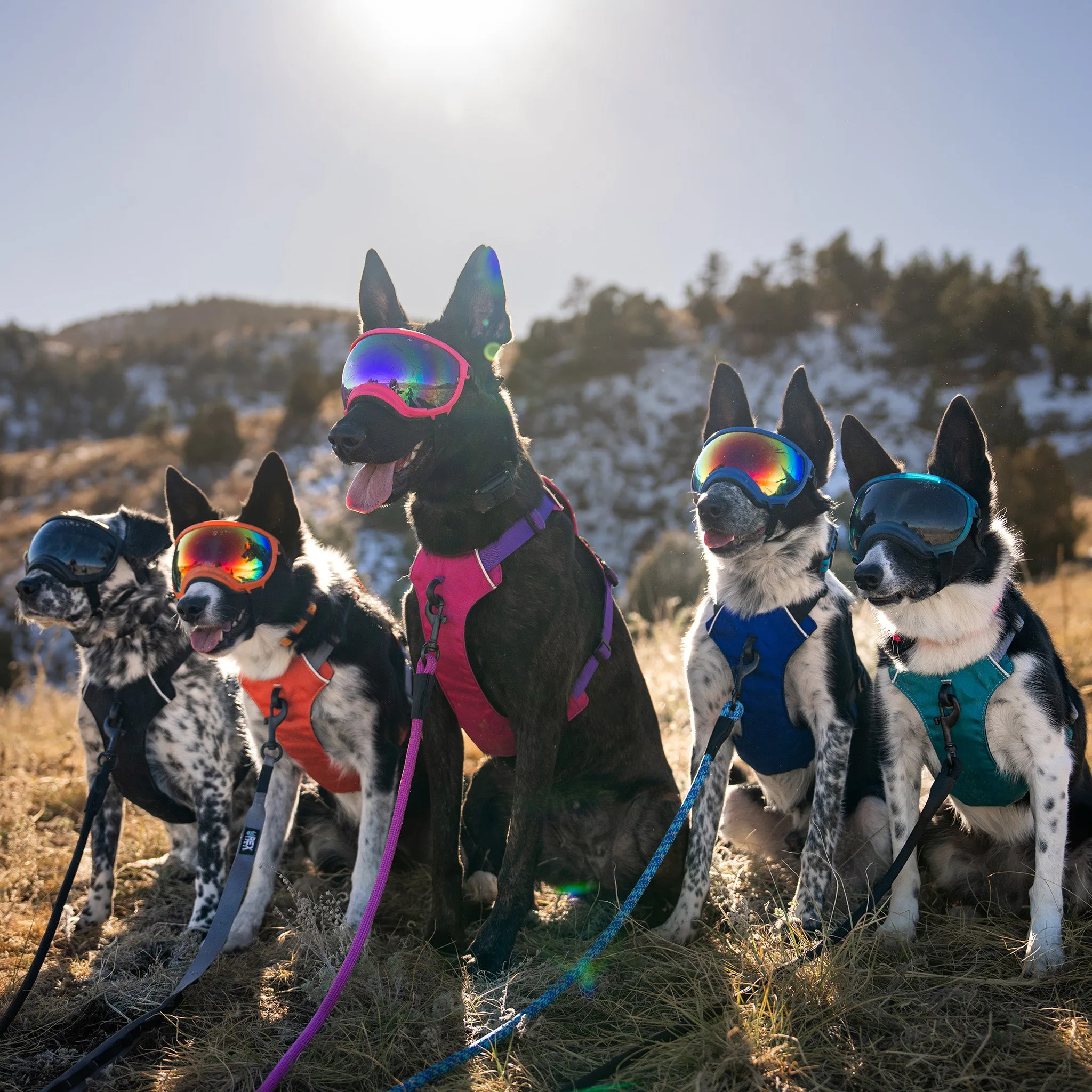 Trailhead Harness
