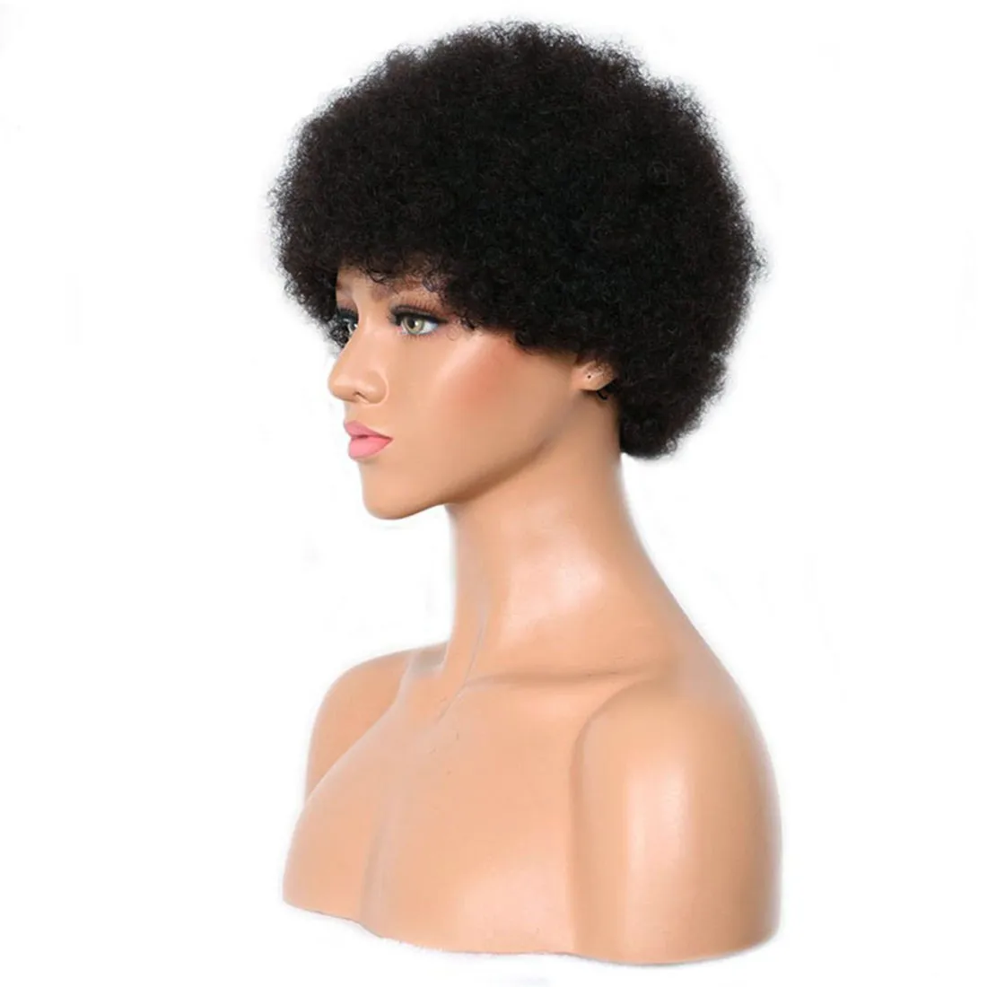 Viviabella Curly Fluffy Explosion Short Human Hair Wig Natural Black Afro kinky Curly Human Hair Wigs for Black Women