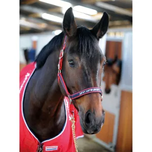 Whitaker Headcollar Padded Fleece
