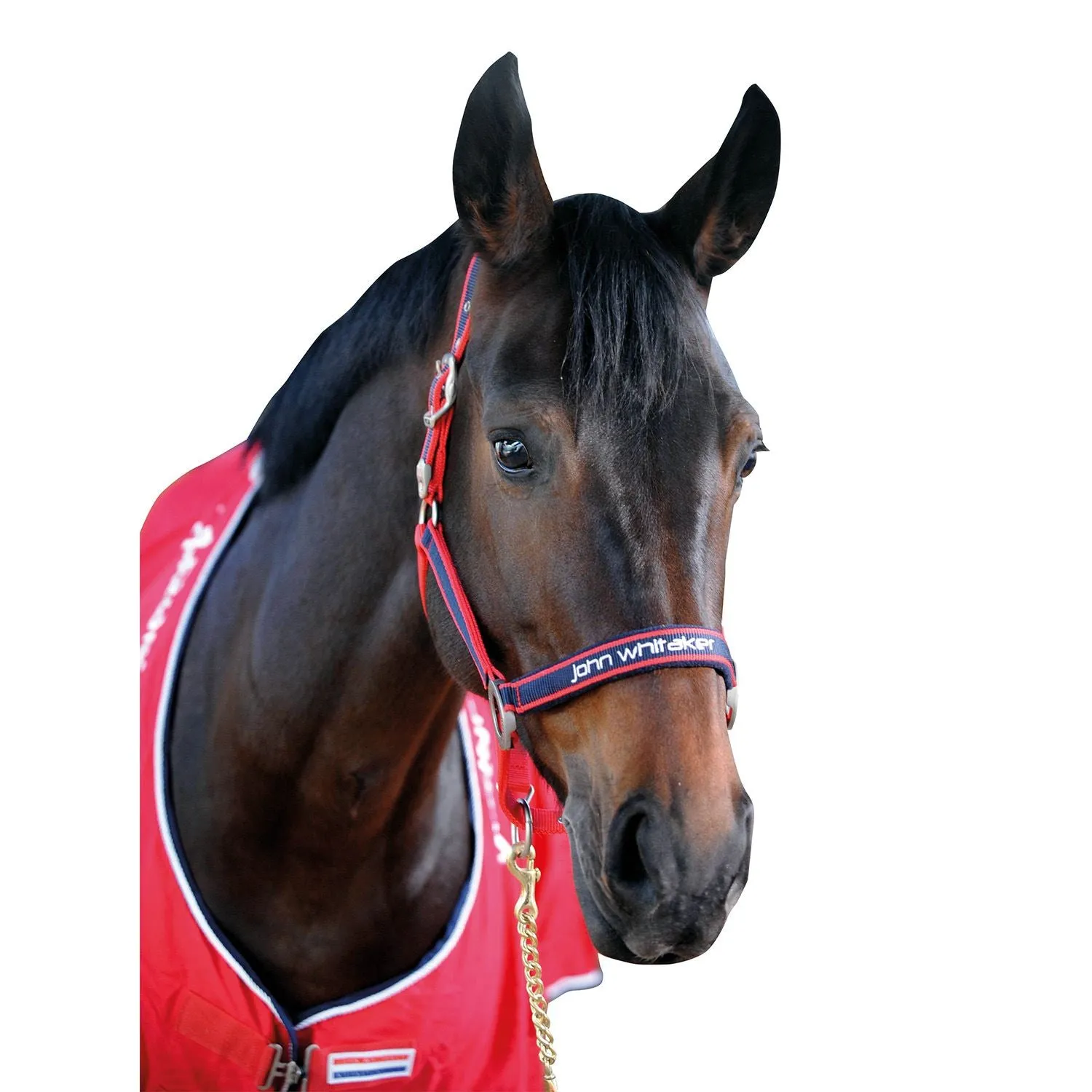 Whitaker Headcollar Padded Fleece