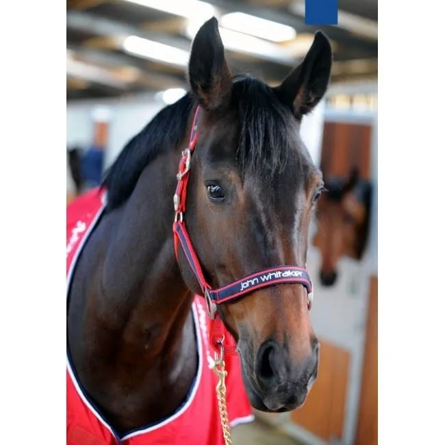 Whitaker Headcollar Padded Fleece